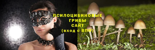 марки lsd Горно-Алтайск