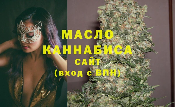 стаф Горняк