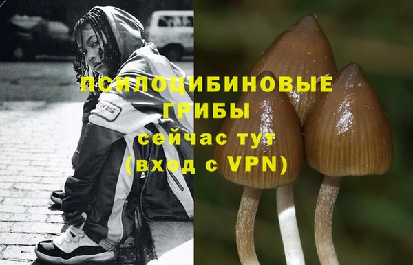 стаф Горняк