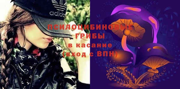 стаф Горняк
