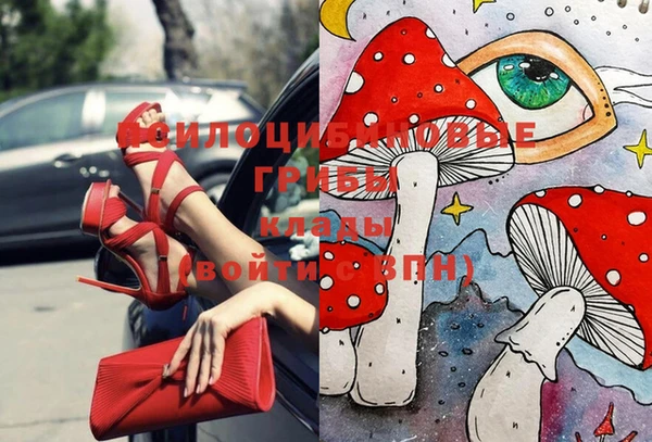 стаф Горняк