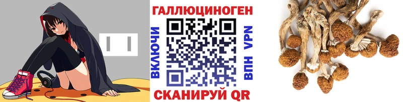 купить наркоту  Железногорск  Псилоцибиновые грибы Psilocybe 